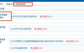 北京卫生人才网官网报名入口,一站式卫生人才招聘服务平台